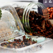 Ynsect – le premier centre de production d’insectes destinés à la consommation s’installe à Dole