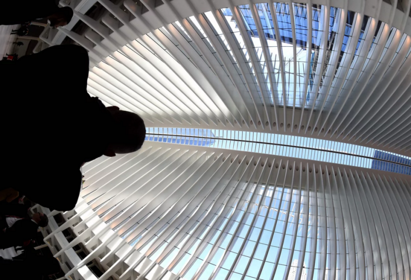 oculus