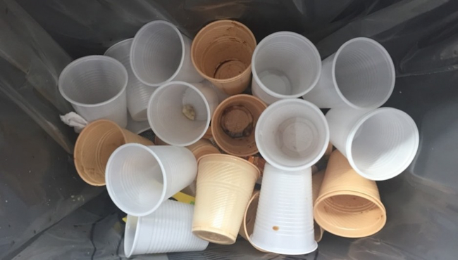 Vaisselle jetable : l'interdiction du plastique vire au casse-tête pour les  industriels