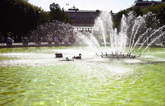 canards Palais Royal