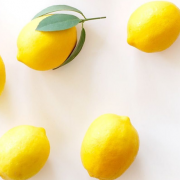 Le Citron, dix façons de le préparer – un livret épuré et un agrume fascinant – par Alessandra Pierini