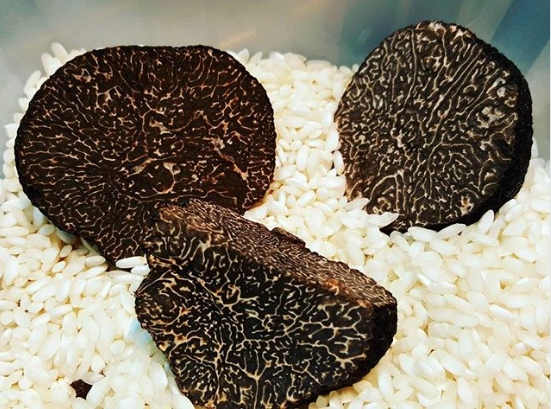TRUFFE - La truffe noire arrive dans les cuisines des chefs et atteint ...