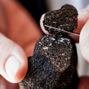 La truffe noire à prix coûtant dans les restaurants parisiens du chef Alain Ducasse