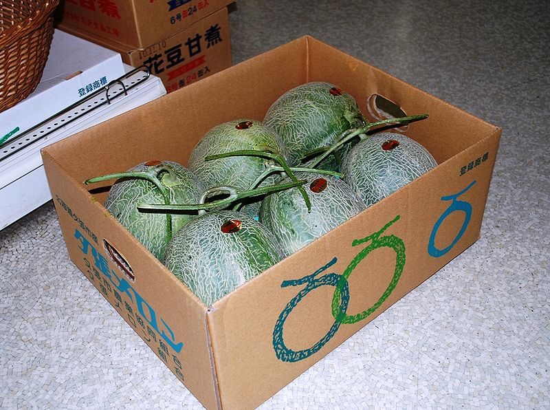 melon yukari ventes aux enchères