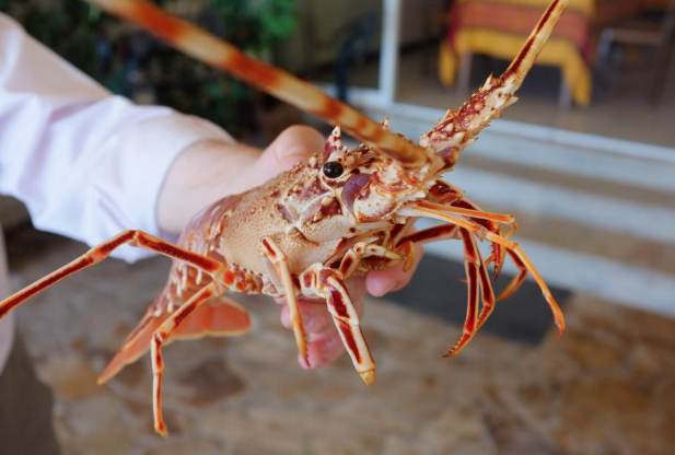mareyeurs côte d'azur
