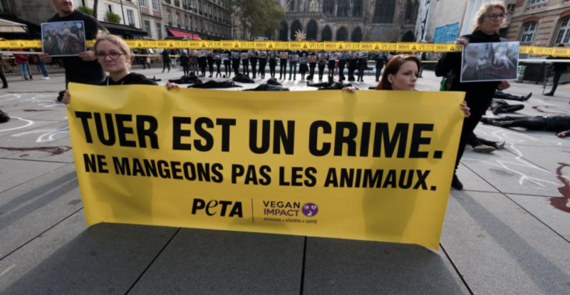 manifestation vegan