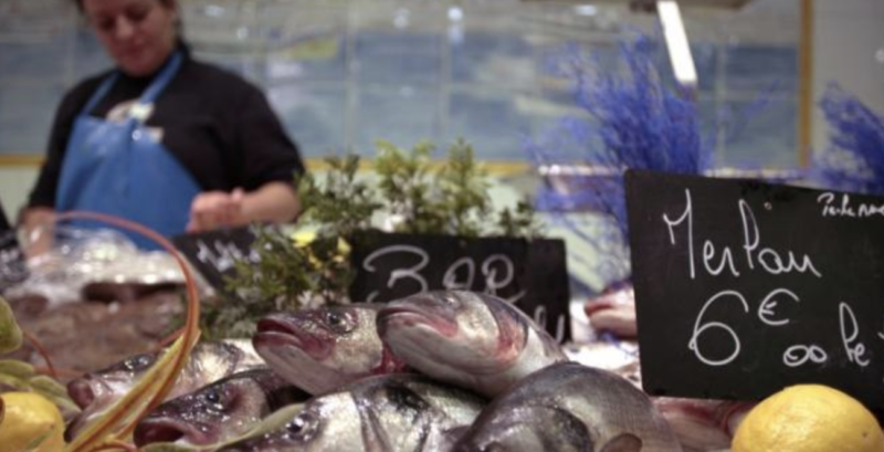 amende noms poissons latin