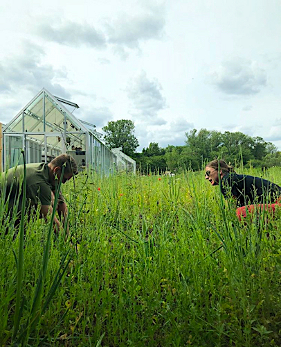 rene redzepi noma