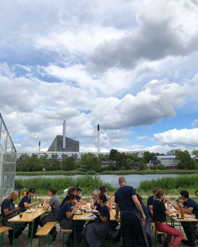 noma copenhague