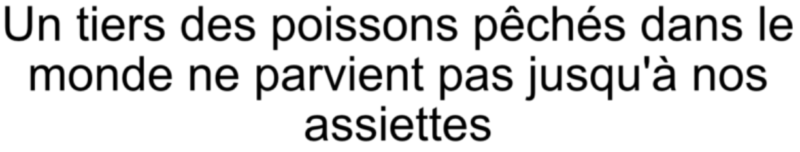 gachis poissons peche