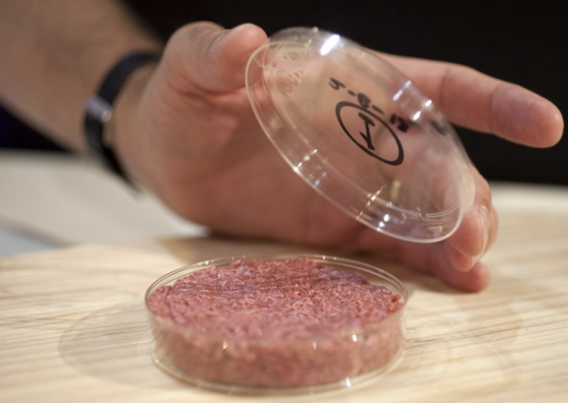 marché de la viande synthétique