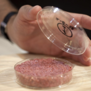 Suisses et Hollandais investissent lourdement sur le marché de la viande synthétique