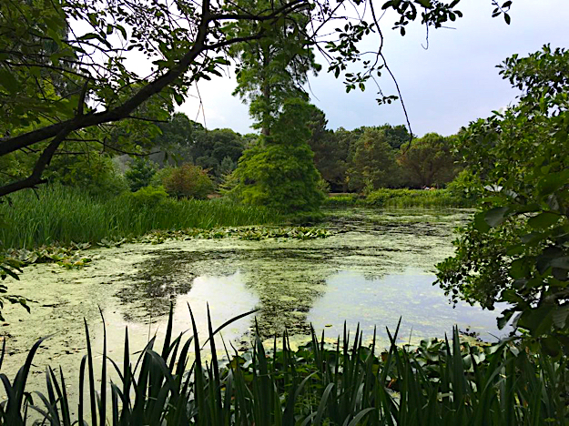 Royal Botanic Gardens Kew londres