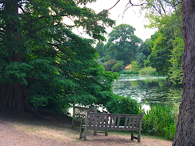 jardin Royal Botanic Gardens Kew londres