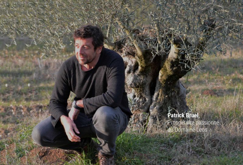 Patrick Bruel, producteur d'huile d'olive dans le Vaucluse