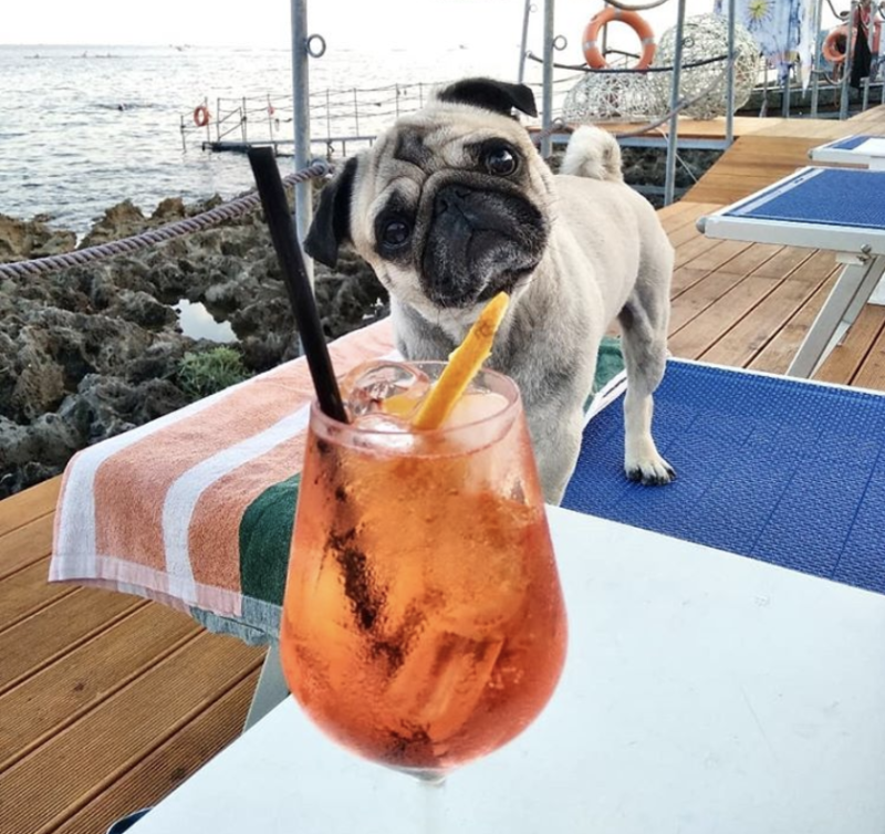 aperol