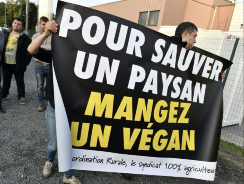 festival vegan calais