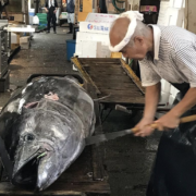 Dans 1 mois le marché aux poissons de Tsukiji à Tokyo sera définitivement fermé aux touristes