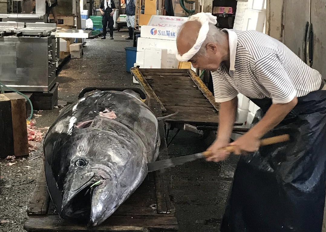 marche poissons de tsukiji