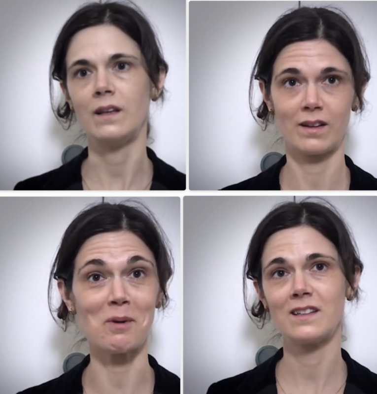 emmanuelle maisonneuve guide michelin