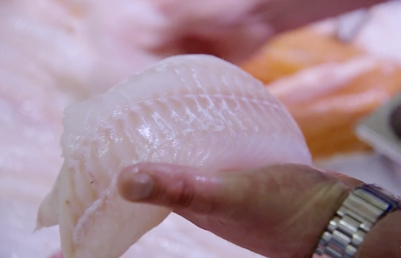 cabillaud poisson