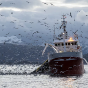 Économie de la mer et Enjeux de la pêche en Europe… pour une prise de conscience commune