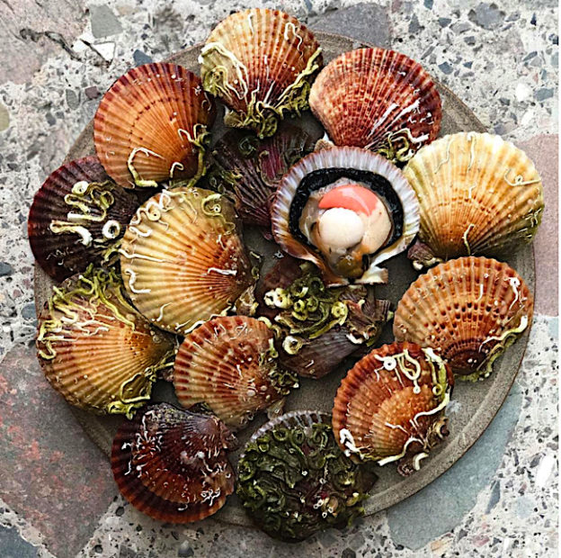 Saveurs marines by René Redzepi - découvrez les dernières créations du chef du NOMA - Food & Sens