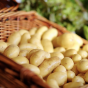 La guerre de la patate – Les belges viennent produire leurs pommes de terre en France