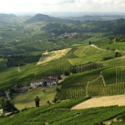 La « Global Conference on Wine Tourism » se déroulera en Italie en 2021