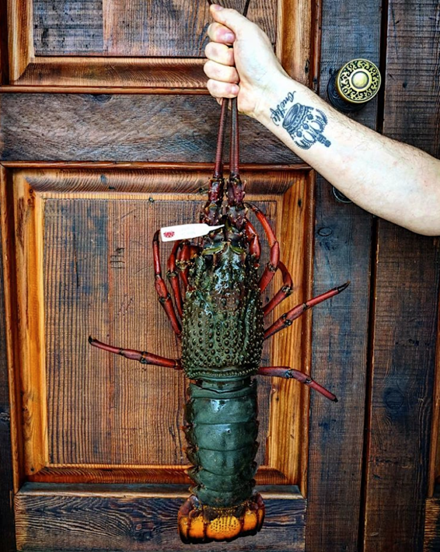 instagram restaurateurs