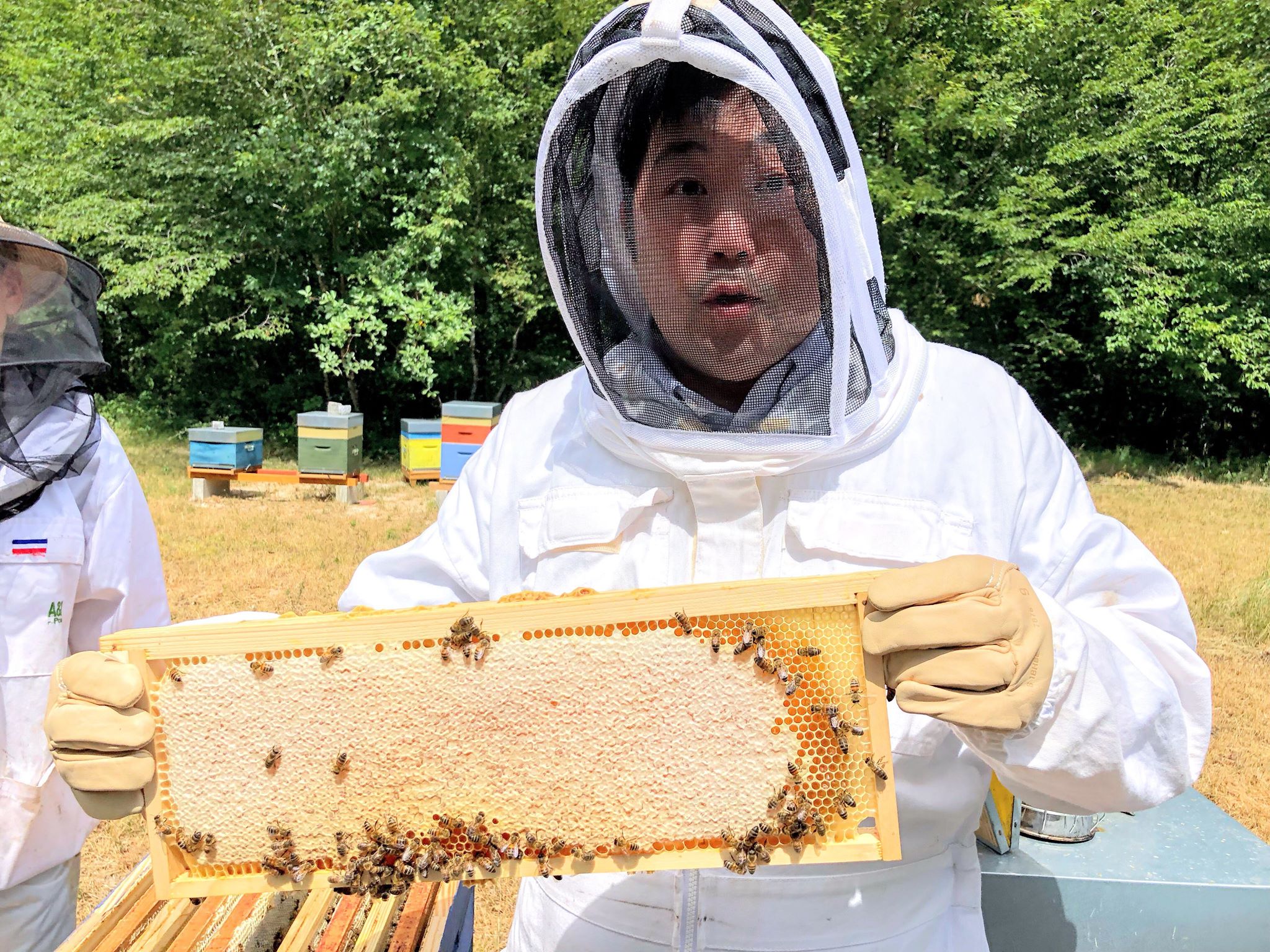 Les chefs et les produits de la ruche - Une histoire d'amour des