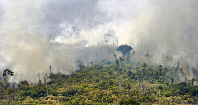 incendie amazonie