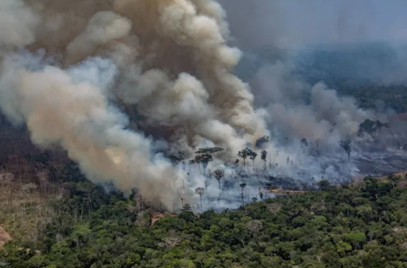 amazonie incendie