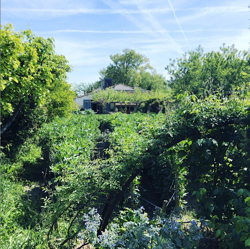 jardin de la chassagnete