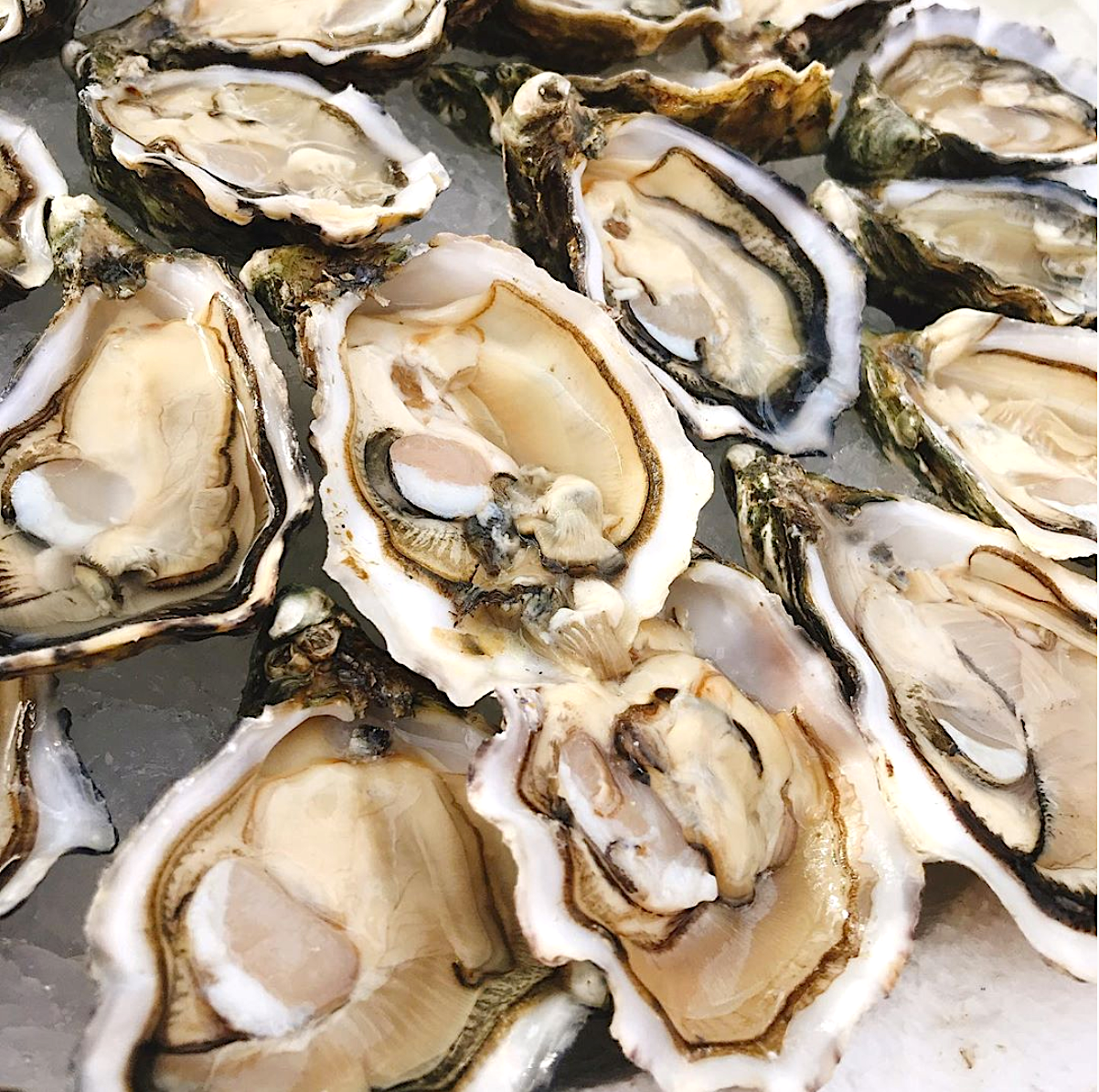 Alerte à La Gastro Après Avoir Consommé Des Huîtres Dans L Ouest De La France Food Sens