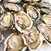 Alerte à la gastro après avoir consommé des huîtres dans l’ouest de la France