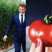 Tomates qui poussent hors sol en Bretagne – On est encore loin d’un nouveau modèle agro-alimentaire