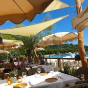 Le Jardin Tropezina – Une plage/restaurant au coeur de la nature – le chef Arnaud Nicolas en cuisine