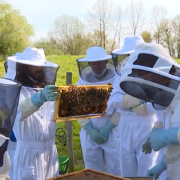 Les chefs Étoilés Basques partent à la découverte du processus de fabrication du miel