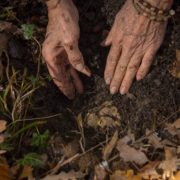 Foire Internationale de la truffe blanche d’Alba: la 91ème édition vient d’être annoncée