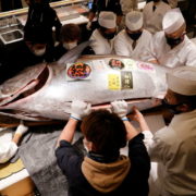 Un thon vendu aux enchères pour 129 000 euros à Tokyo