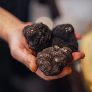 Pourquoi le prix des truffes flambe cette fin d’année