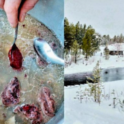 La cuisine comme sursaut identitaire et culturel – découvrez la cuisine des Samis