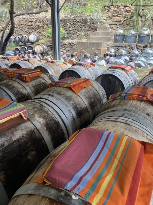 anciens fûts de vin de Banyuls dont les entrées sont couvertes d'un tissus rayé de couleurs