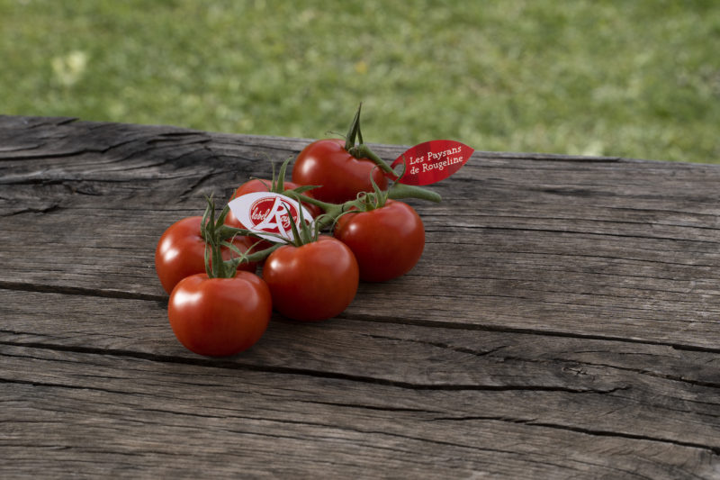 Une grappe de tomate étiquetée Label Rouge sur une table en bois brut 