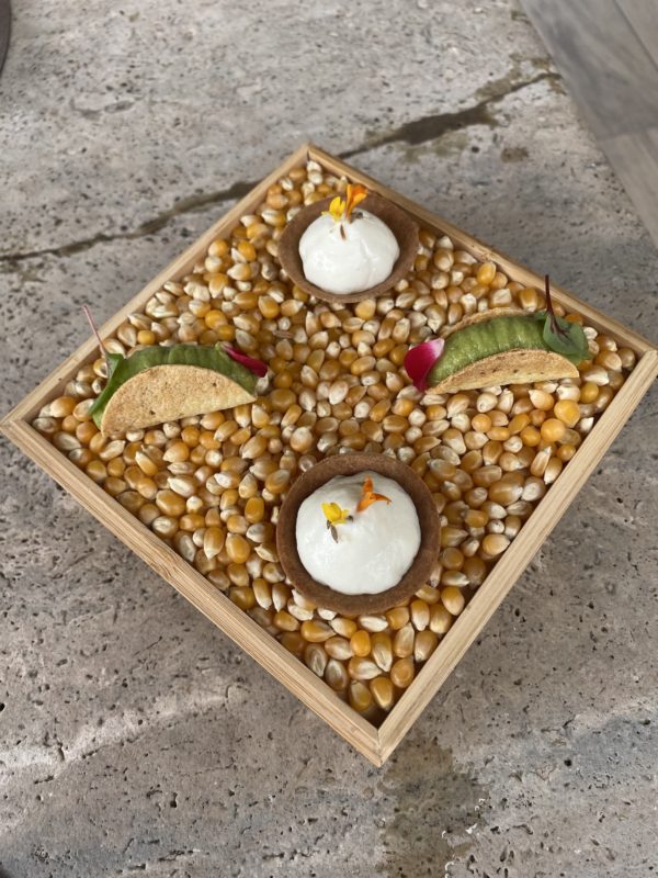 Assiette en bois carrée recouverte de grains de mais et dessus deux tartelettes blanches et deux tacos remplis d'avocat et pliés 
