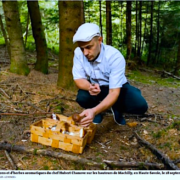 Depuis les bois, le chef Hubert Chanove vous fait découvrir les différentes espèces de champignons sauvages