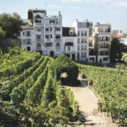 Un jour, un livre « Atlas des vins insolites » Pierrick Bourgault