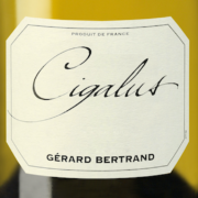 Secrets de Caves – Noël en Blanc !