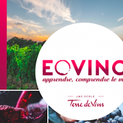 Eovino – La nouvelle École du Vin – Les équipes du magazine – Terre de vins – se lancent dans la formation
